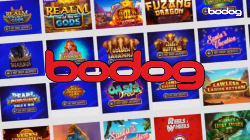 bodog-casino