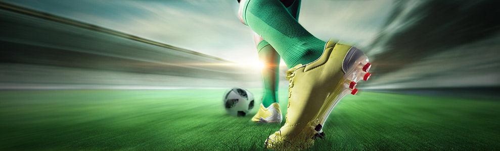 bodog sports